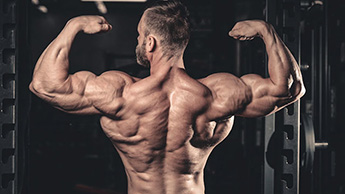 Vilken fitnessutrustning kan användas för axelmuskelträning?