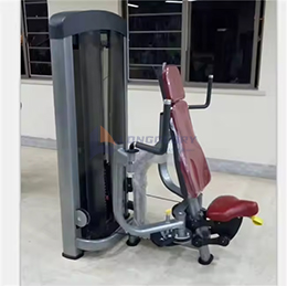 Pectoral flue gymmaskin